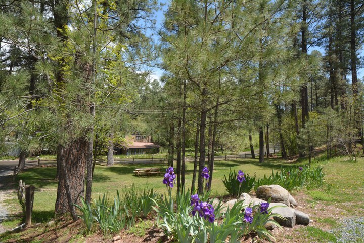 Upper Canyon Inn & Cabins