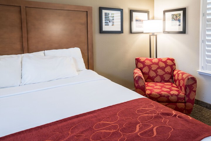 Comfort Suites Fresno River Park