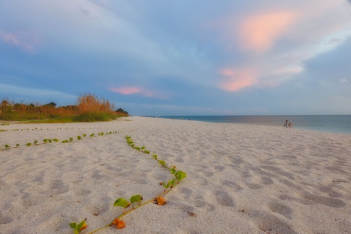 Casey Key Resorts - Beachfront