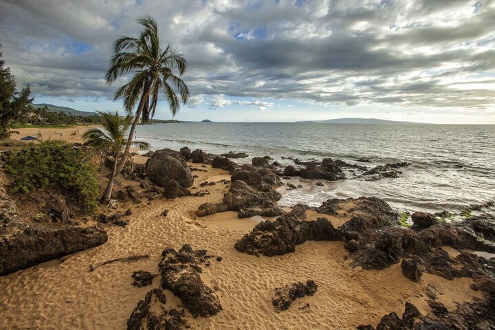 Beach 225 of 271