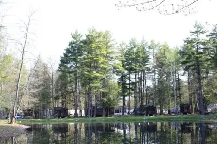 Alpine Lake Lakefront Cabin 8