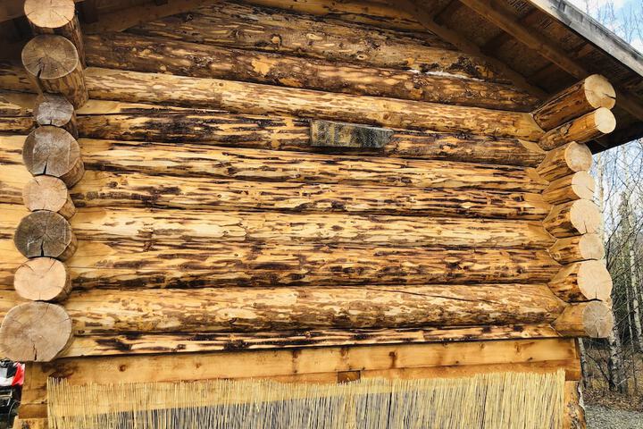 Wrangell Mountain Lodge