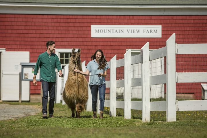 Mountain View Grand Resort & Spa