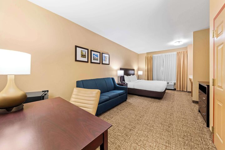 Comfort Suites Roanoke - Fort Worth North