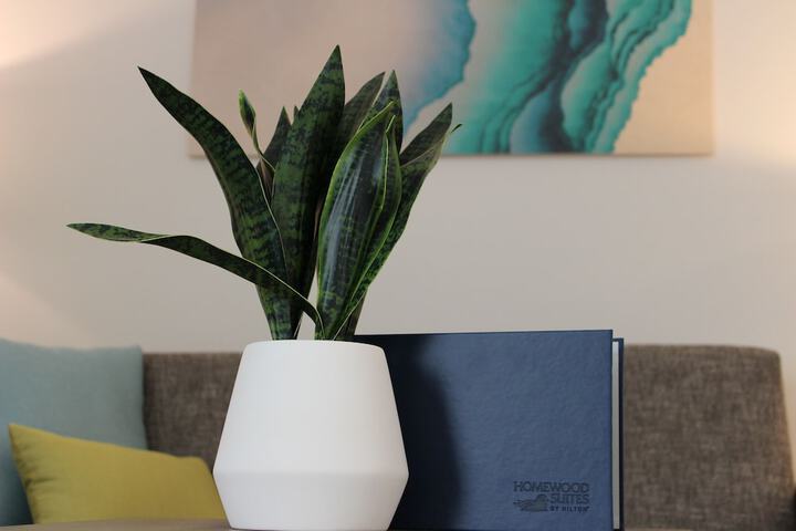 Homewood Suites by Hilton Chula Vista-Eastlake