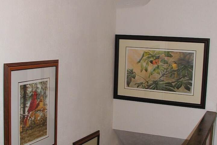 Burleys Gardens and Suite