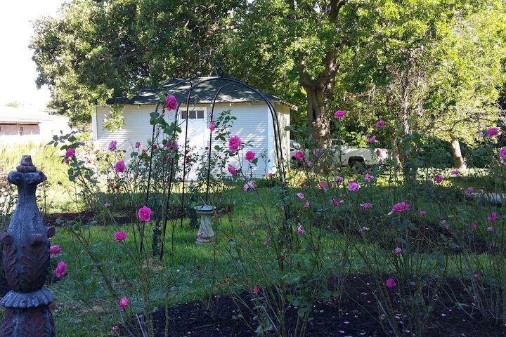 Fig Tree Manor