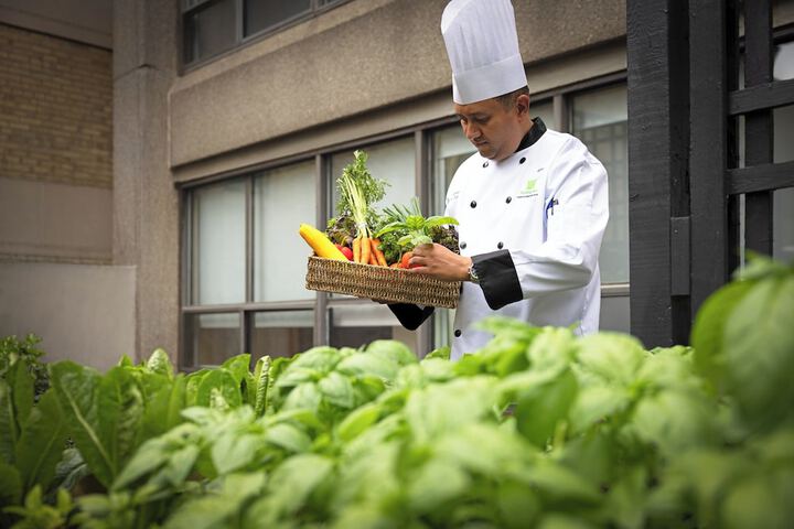 Holiday Inn Toronto Downtown Centre by IHG