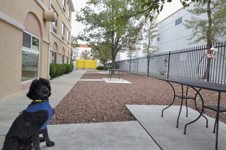 Pet Friendly 44 of 45