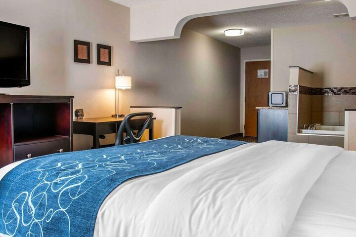 Comfort Suites Benton Harbor - St. Joseph