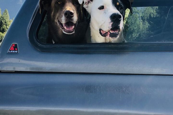 Pet Friendly 25 of 32