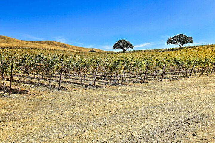 Pleasant Valley Wine Trail Home - Near Paso Robles