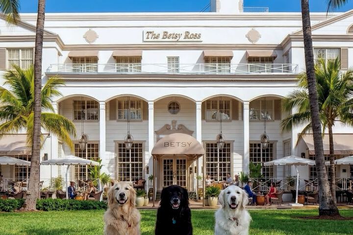 The Betsy - South Beach