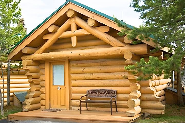 The Hibernation Station