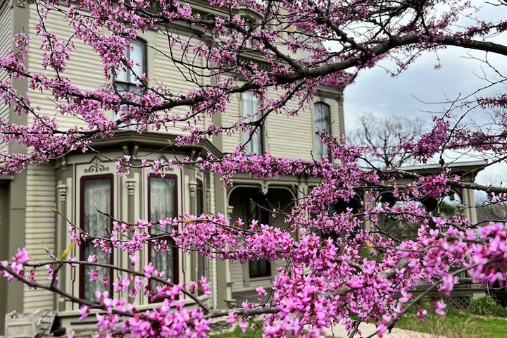 Garth Woodside Mansion B & B