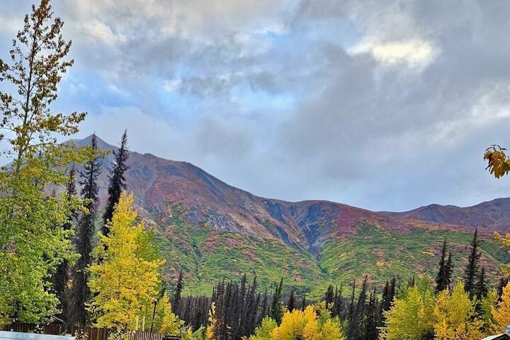 Carlo Creek Cabins