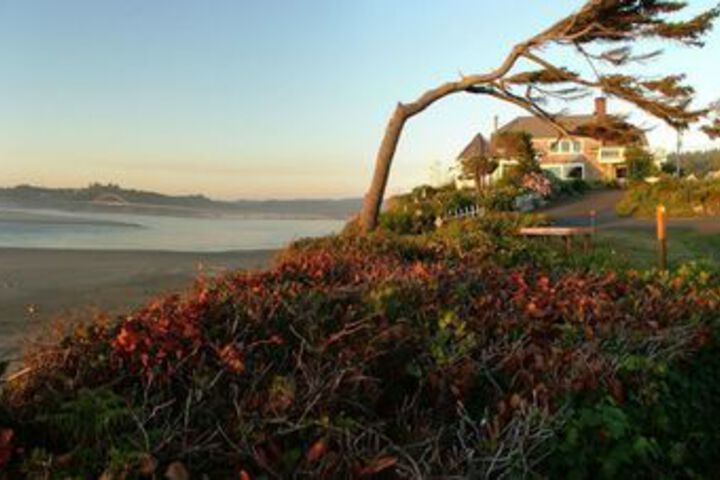 Cliff House - Waldport