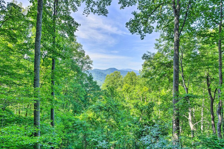 Tree-lined Robbinsville Studio Near Trails!