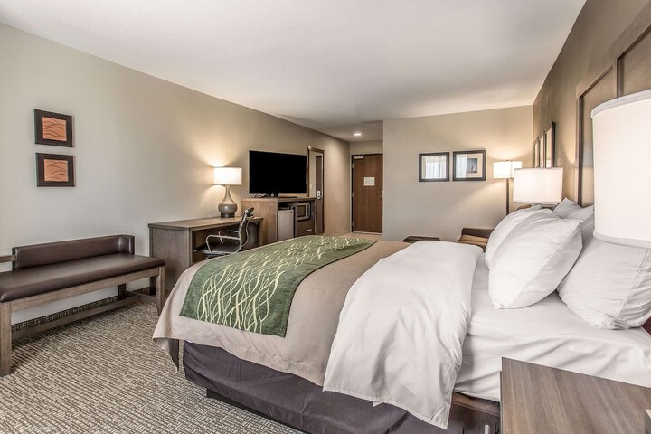 Comfort Inn & Suites Snyder