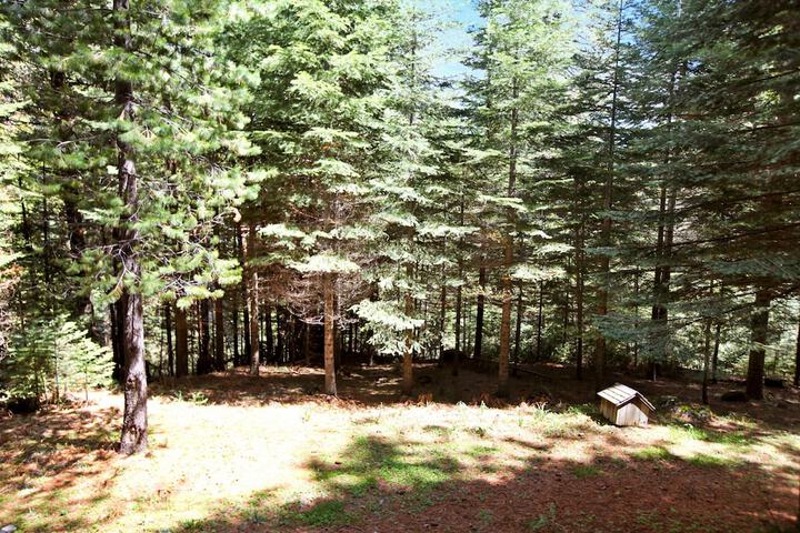 Yosemite Scenic Wonders - Fish Camp Area