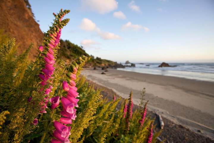 Beach 46 of 61