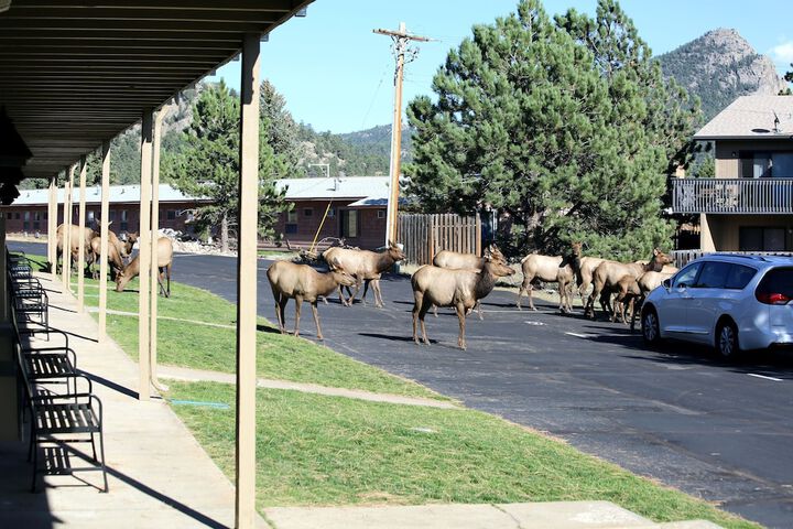 Quality Inn near Rocky Mountain National Park