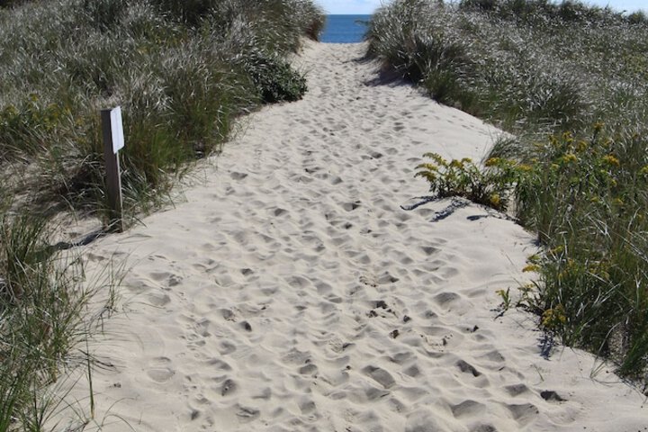 Edgewater Beach Resort