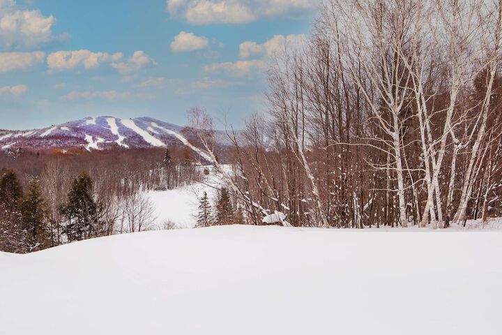 Killington Mountain Lodge Tapestry Collection by Hilton