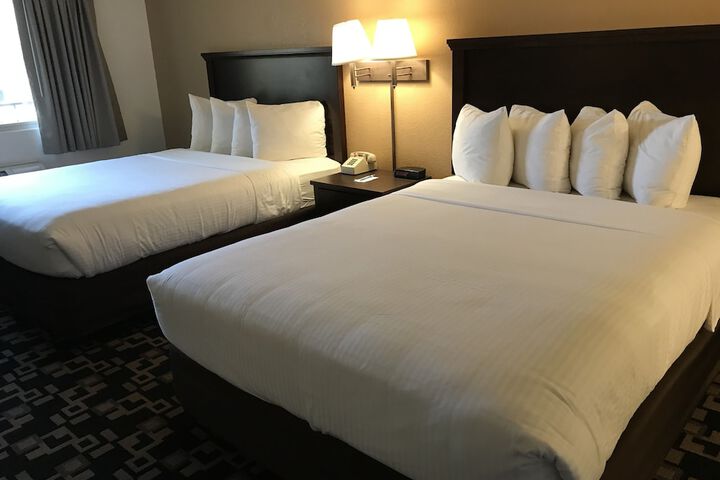 Room 25 of 40