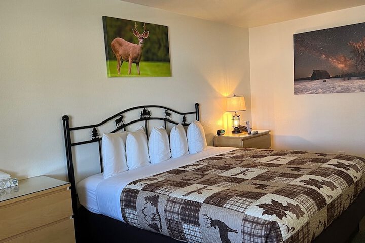 Antlers Inn