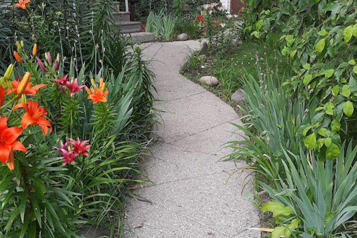 Property Grounds 50 of 53