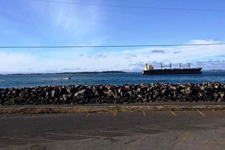 Islander Westport
