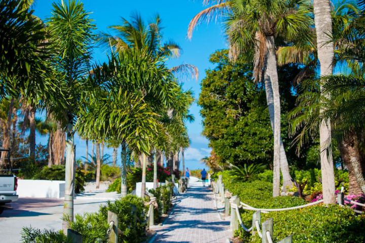 Tropical Beach Resorts