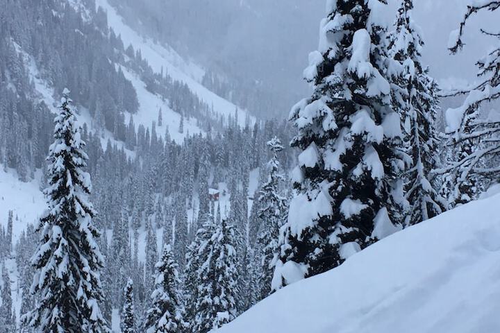 Snowy Mountain Lodge