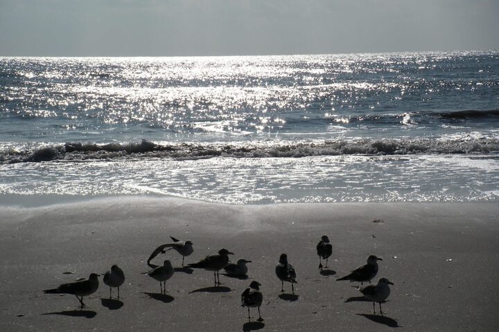 Beach 38 of 43