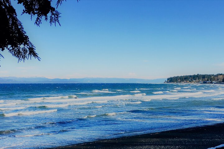 Beach 75 of 79