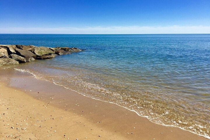 Kingfisher Oceanside