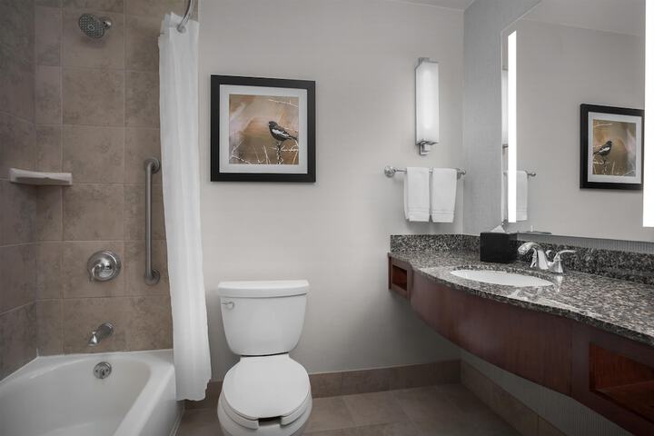 Hilton Garden Inn Denver Downtown