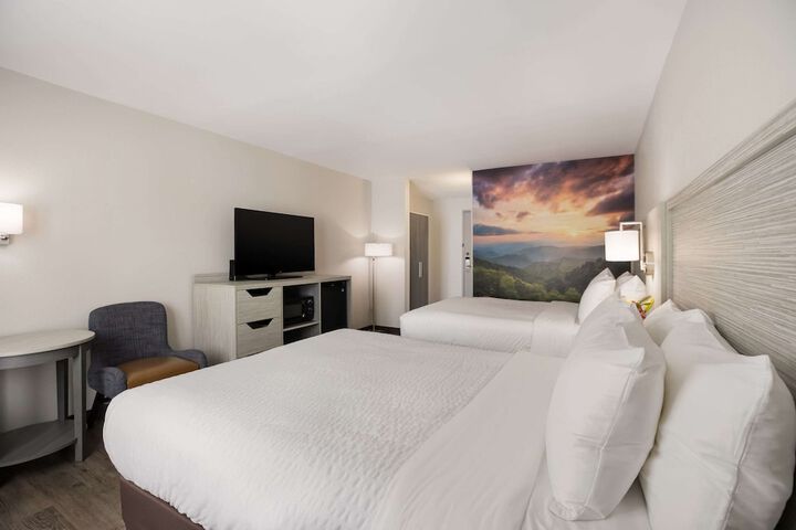 Room 44 of 53