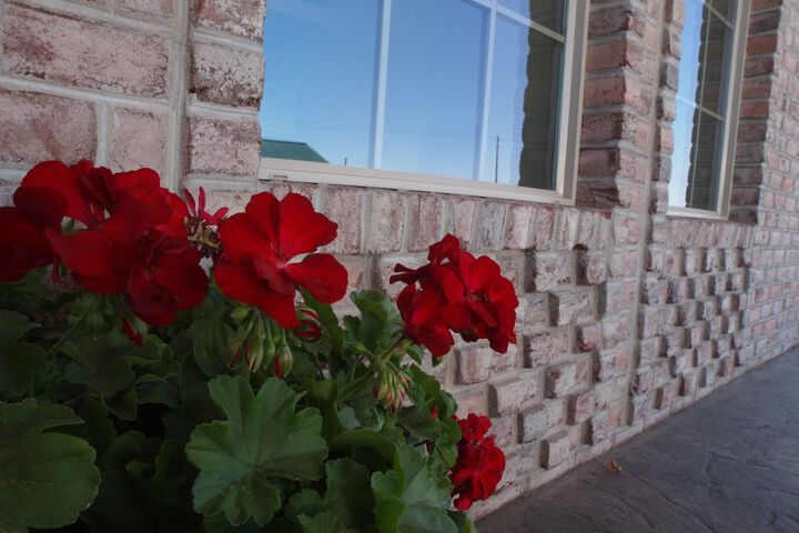 Hotel 4 of 52