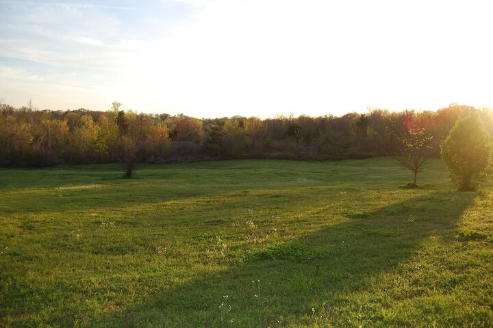 Property Grounds 45 of 47