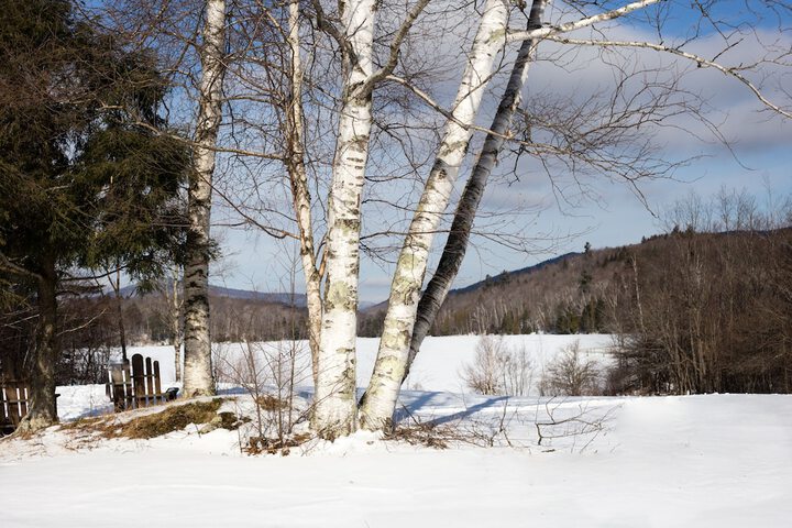 Mountain Meadows Lodge