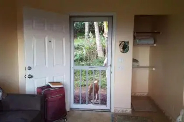 Aloha Cottage