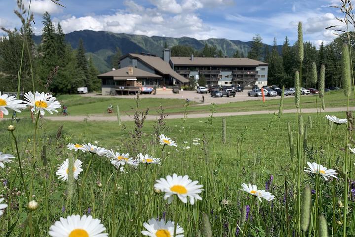 The Griz Inn