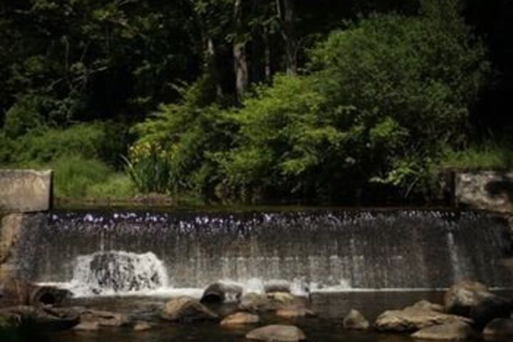 Brook Falls Farm