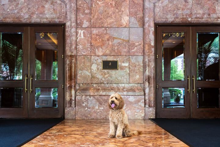 The Ritz-Carlton St. Louis