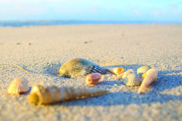 Beach 80 of 93