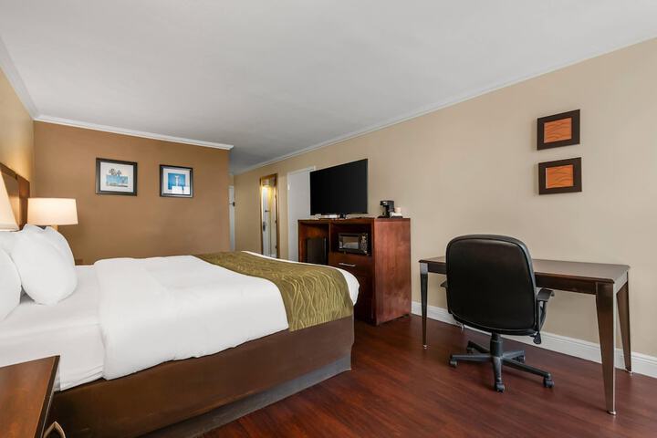 Comfort Inn Oceanside Deerfield Beach
