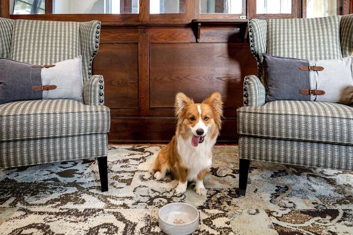 Pet Friendly 37 of 38