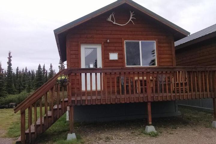 Denalis Alaskan Spruce Cabins